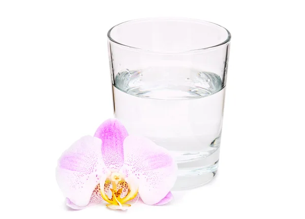 Glas vatten och orhid blomma på vit bakgrund Stockbild