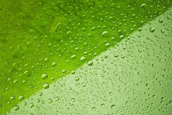 Drops of water, green colors, dark and light. — Stock Photo, Image