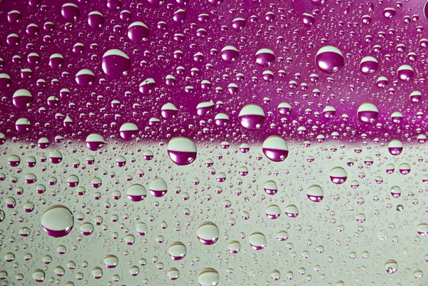Magenta drops of water — Stock Photo, Image