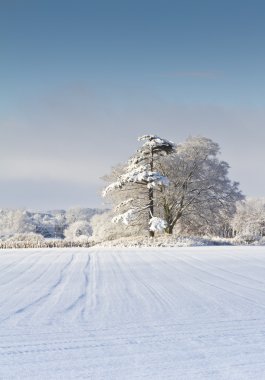 Snow Covered English Countryside clipart