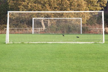 bir hedef doğrultusunda diğer üzerinden bir futbol sahası aşağı bakıyor