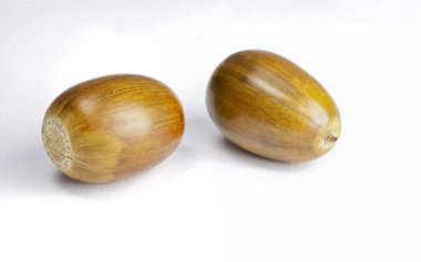 iki acorns