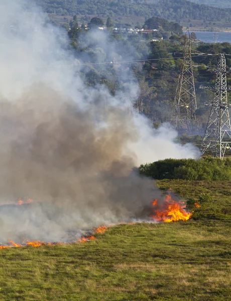Heathland Fire — kuvapankkivalokuva