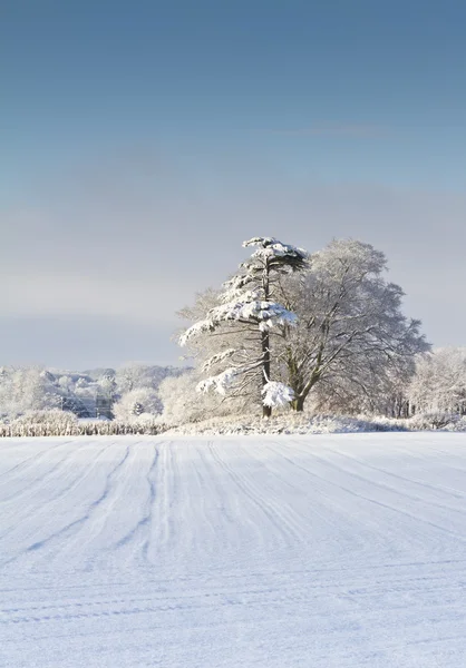 Snötäckta engelska landsbygden — Stockfoto