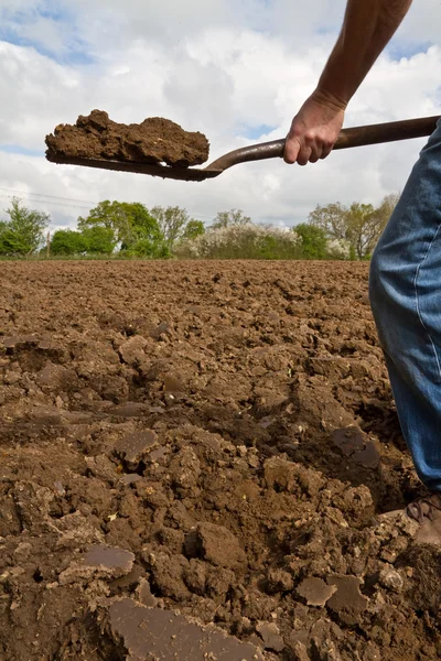 Close up of someone digging — Stock Photo, Image