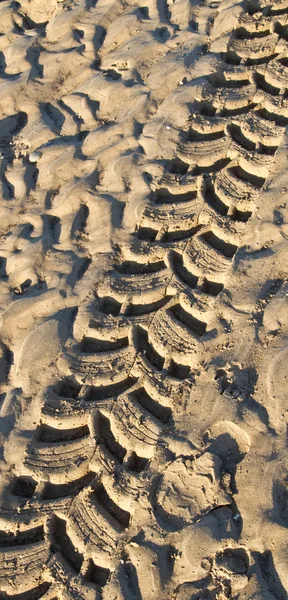 stock image Tyre track in wet sand