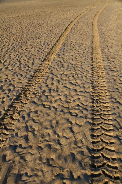 stock image Tyre tracks in wet sand