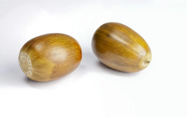 stock image Two Acorns