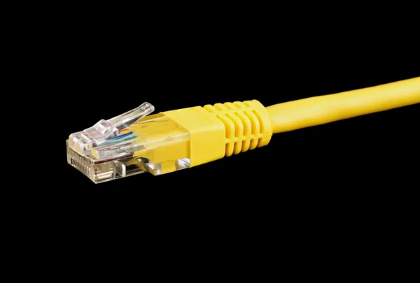 Makro kabel Ethernet — Zdjęcie stockowe