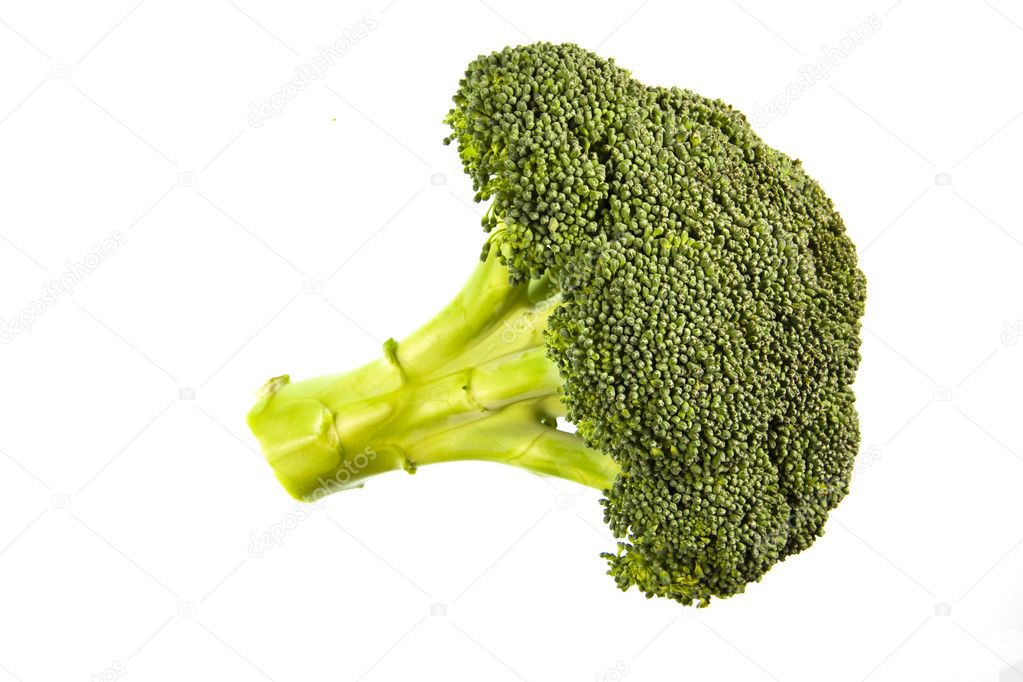 Freshly cut head of broccoli