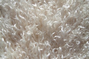 Close up of Angora Wool clipart