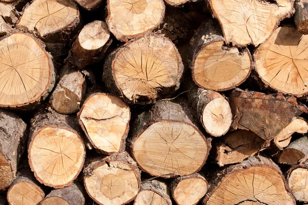 stock image Wood Pile