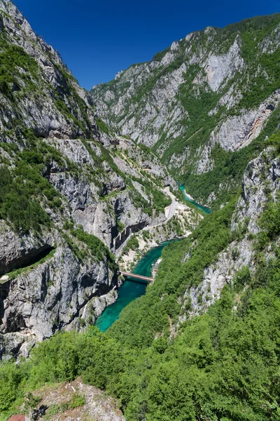 stock image Piva river