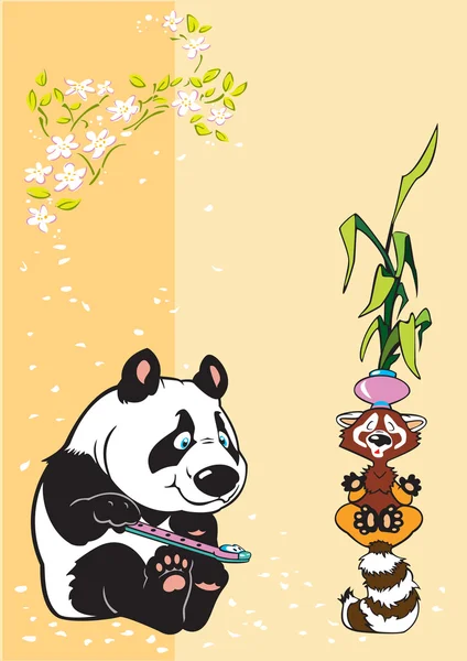 Panda és a mosómedve meditáció — Stock Vector