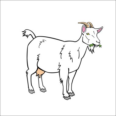 White goat clipart