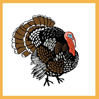 Turkey clipart