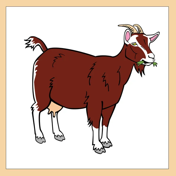 Hnědá koza — Stockový vektor