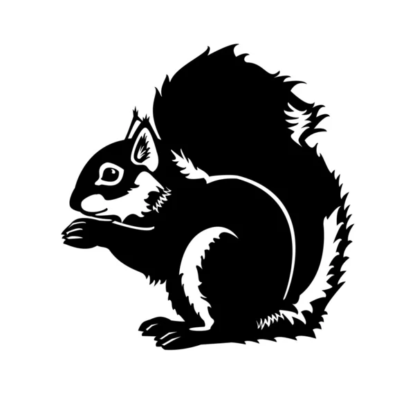Écureuil noir et blanc — Image vectorielle