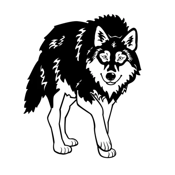 Lobo blanco y negro — Vector de stock