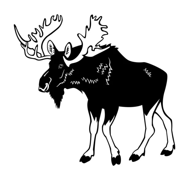 Moose siyah ve beyaz — Stok Vektör