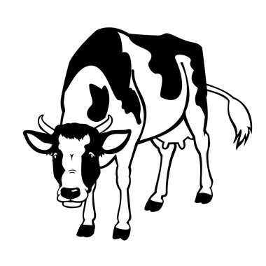 Cow black and white clipart