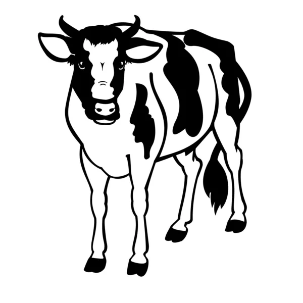 Calf black and white — Stock Vector