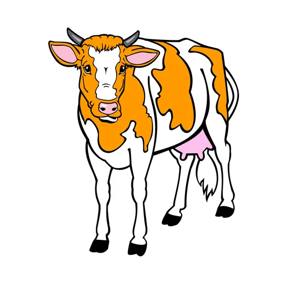 Cow on white — Stock Vector