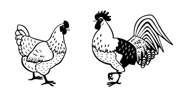 Horoz ve tavuk siyah beyaz — Stok Vektör