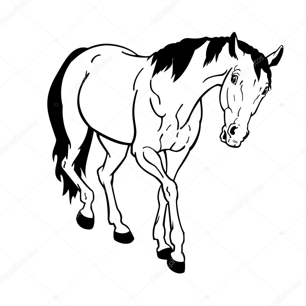 Horse black white isolated