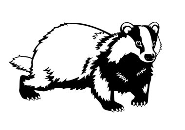 Badger black and white clipart