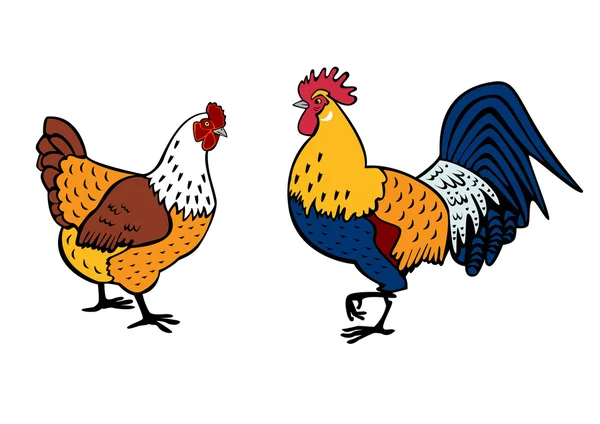 Петух и курица на белом — стоковый вектор