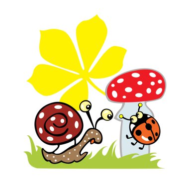 salyangoz, lady bird ve agaric