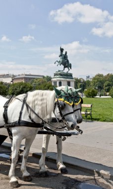 Vienna, Austria. The urban landscape