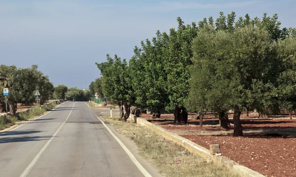 Puglia