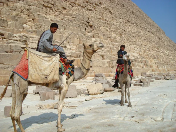 Cavalieri di cammelli — Foto Stock