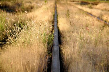 Tren yolu ufuk içine