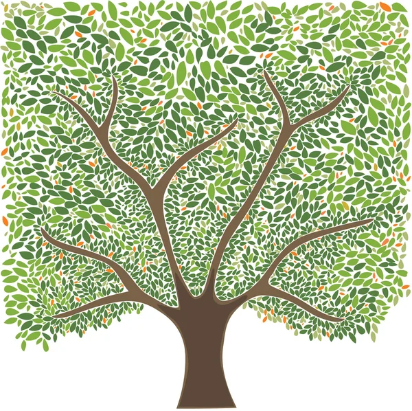 Zielone drzewo Obrazek Stockowy