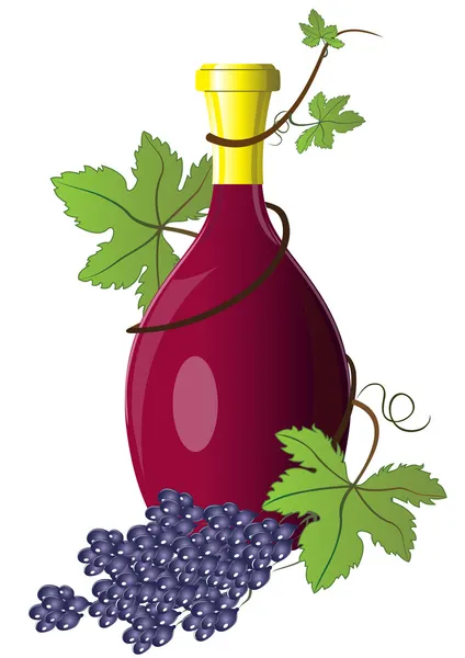 Bottle of wine twined with grape vine — Stock Vector