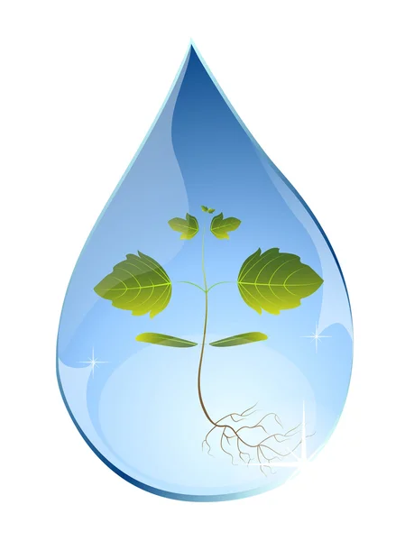 Tree sprout in water drop. — Stock Vector