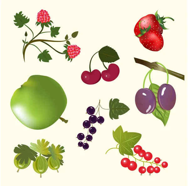 stock vector Berries and fruits