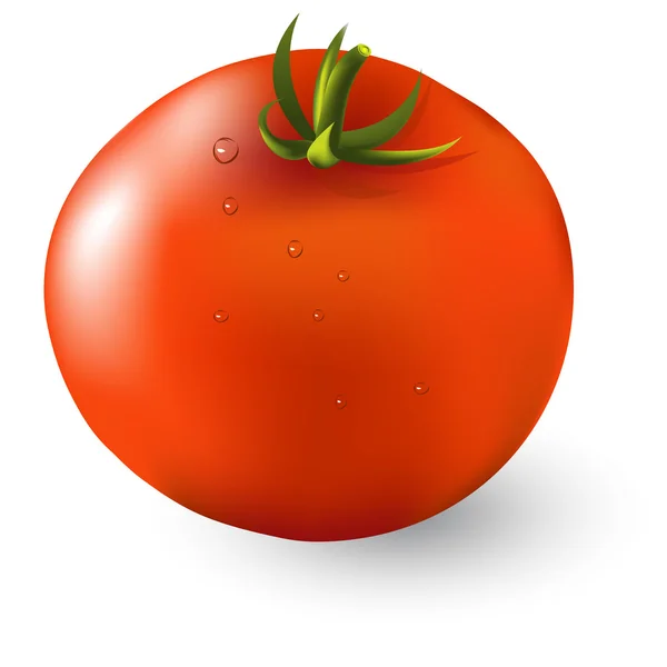 Tomate mûre rouge — Image vectorielle