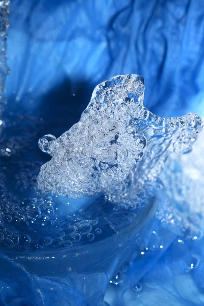 Forme de l'eau - ours — Photo