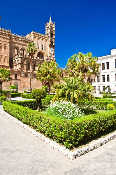 A catedral de Palermo — Fotografia de Stock