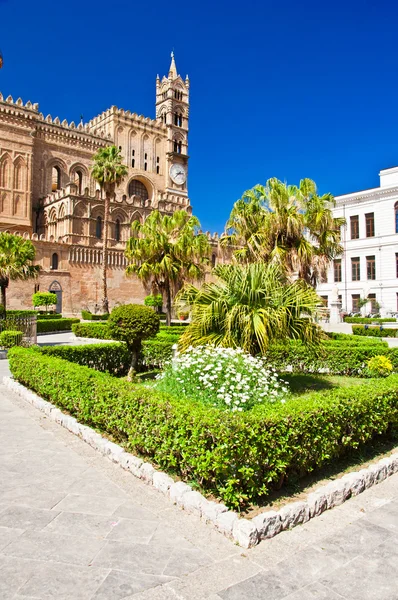 La catedral de Palermo —  Fotos de Stock