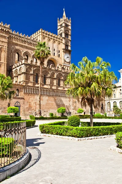 A catedral de Palermo — Fotografia de Stock