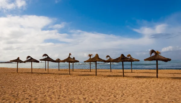Parasols on the beach — Stock Photo, Image
