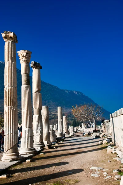 Antigua columna romana de mármol de las ruinas de Éfeso con el cielo azul profundo en el fondo —  Fotos de Stock