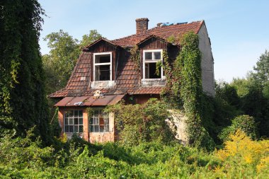 eski, terk edilmiş bir ev
