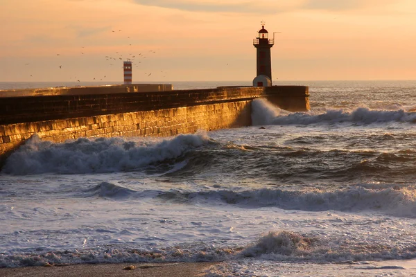 stock image Lighthouse in Foz of Douro, Porto, Portugal