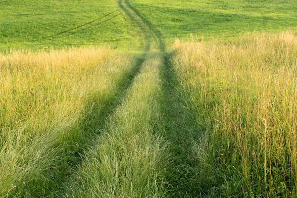 Yeşil alan ve yol — Stok fotoğraf